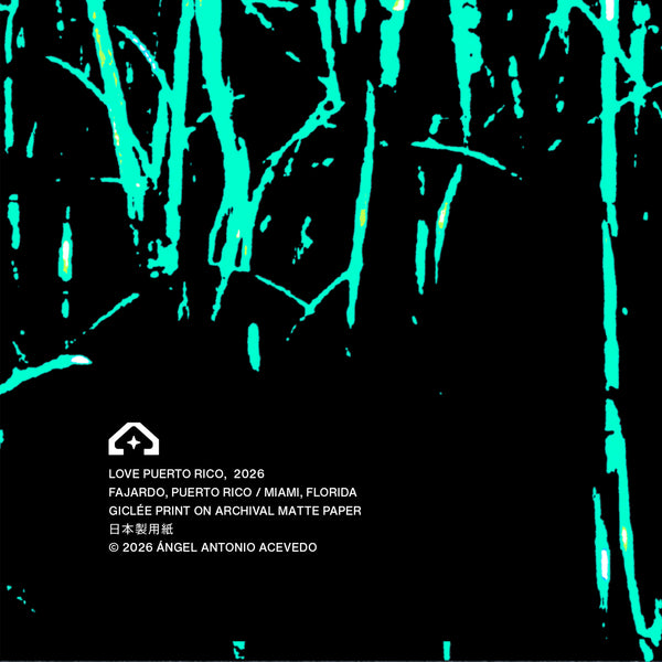 Ocasio 64 Puerto Rico Giclee Poster Print